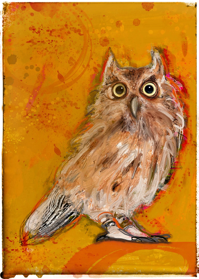 Hoot 2 — Paper Print by Jacqui Fehl